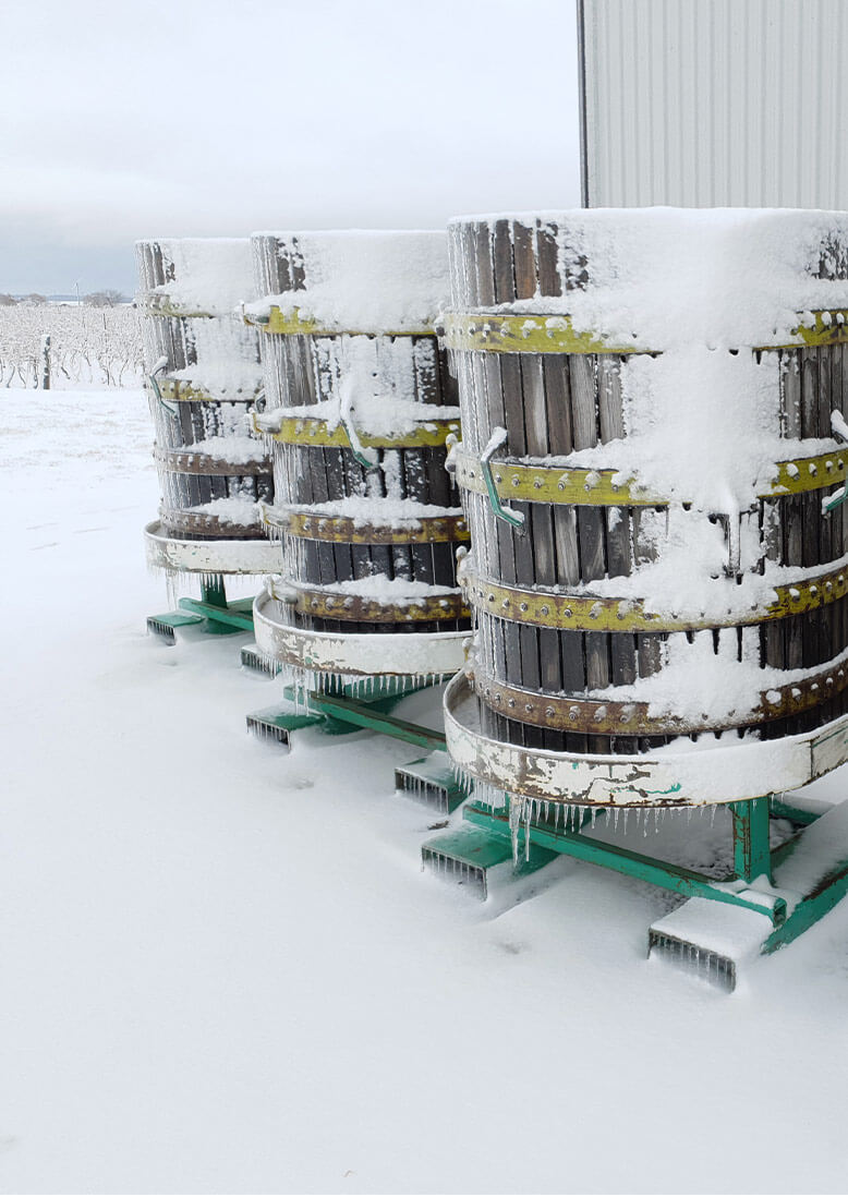 Icewine barrels